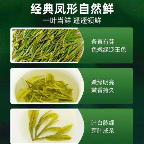 2024新茶上市艺福堂绿茶春茶茶叶明前特级天仙白茶安吉原产100g