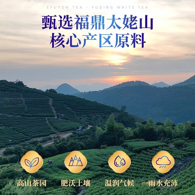 艺福堂陈皮白茶品鉴装30g高山福鼎老白茶寿眉小方片官方旗舰店,淘宝优惠券,粉丝福利购,淘宝优惠卷