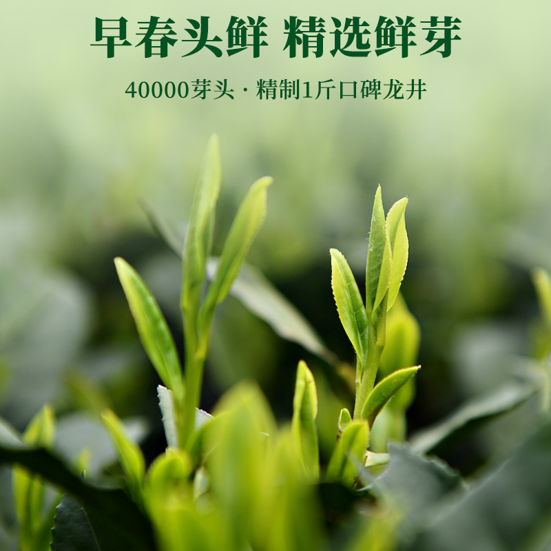 2024年春茶新茶上市艺福堂明前特级龙井茶叶官方旗舰店正品绿茶-图0