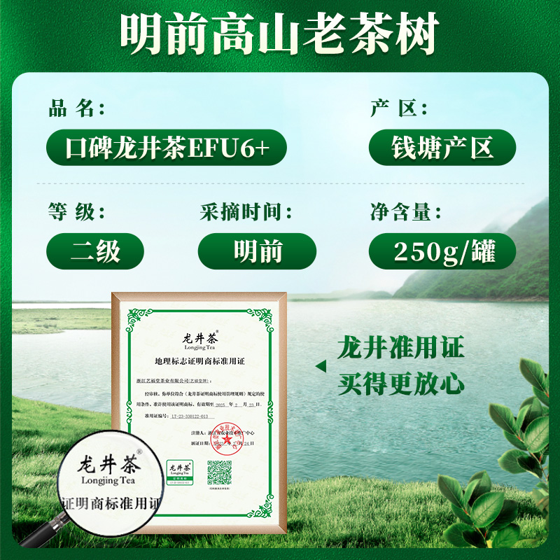 2024新茶上市艺福堂茶叶旗舰店明前龙井43号口碑6+浓香绿茶自己喝 - 图2