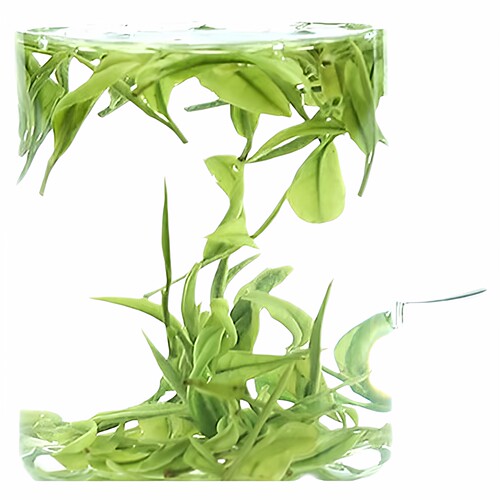 宋帝御赐2026年明前珍稀吉山红安吉白茶新茶特级茶叶500g散袋装 - 图2