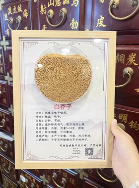 中药标本挂画中医馆装饰中药材装饰相框相册文化墙实物挂画