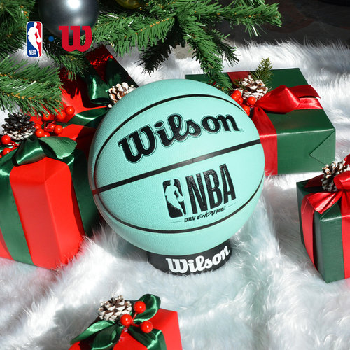 Wilson威尔胜NBA系列篮球官方正品7号PU成人专用训练比赛室内室外 - 图0
