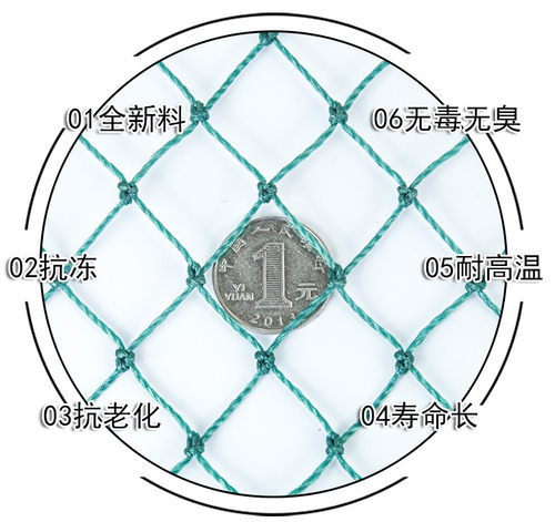 户外养殖网防鸟网果树防鸟用的网加厚尼龙网天网果园鱼塘防鸟用网 - 图1