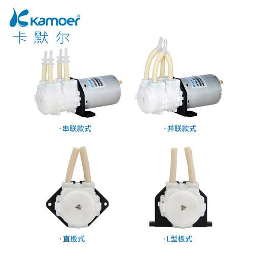 蠕动泵12v双头泵小型抽水泵水泵实验室泵头 大流量双通道微型双泵 - 图1