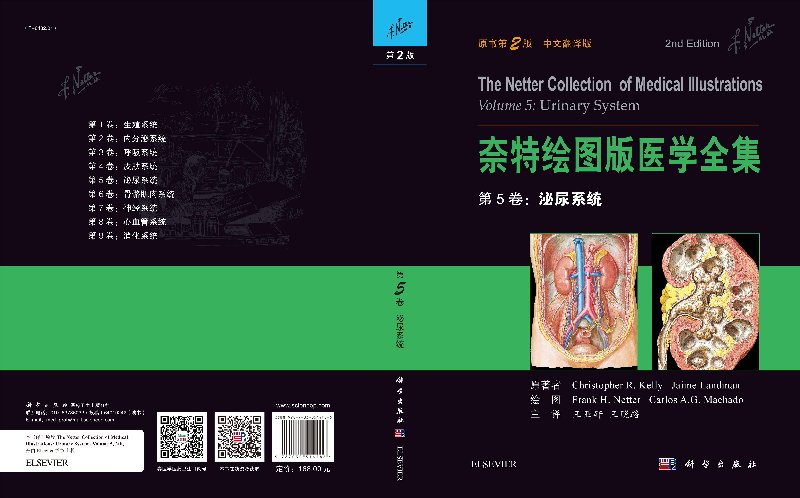 正版现货 奈特绘图版医学全集 第5卷:泌尿系统(原书第2版) 奈特等；王亚轩 9787030514486 科学出版社 - 图2