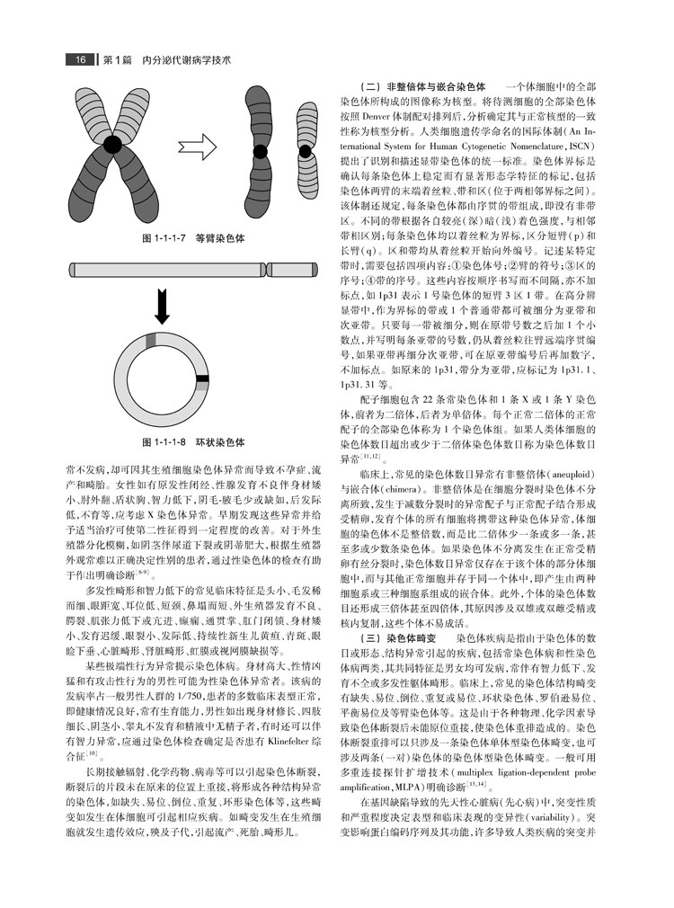 正版现货内分泌代谢病学第4版四版全2册主编廖二元袁凌青内科学内分泌腺和非内分泌腺的内分泌疾病内分泌代谢人民卫生出版社_虎窝淘