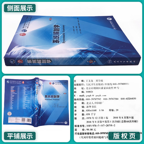 系统解剖学第9版第九版柏树令人卫本科西医人体解刨学教材人体解剖组织学与胚胎学生物生理学药理学内科学人民卫生出版社考研书-图0