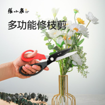 Zhang Koizumi Horticultural Cut Pruned Branches of Pruning Branches of Pruning Branches stainless steel prunes Flowers Flowers and Grass Scissors