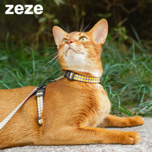 pidan皮蛋猫咪牵引绳宠物项圈H型背带遛猫绳防挣脱zeze猫可调节