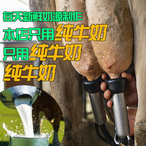 【商用批发30斤】希腊冷萃干嚼酸奶干巴干噎酸奶酪疙瘩罐子零食品 - 图1