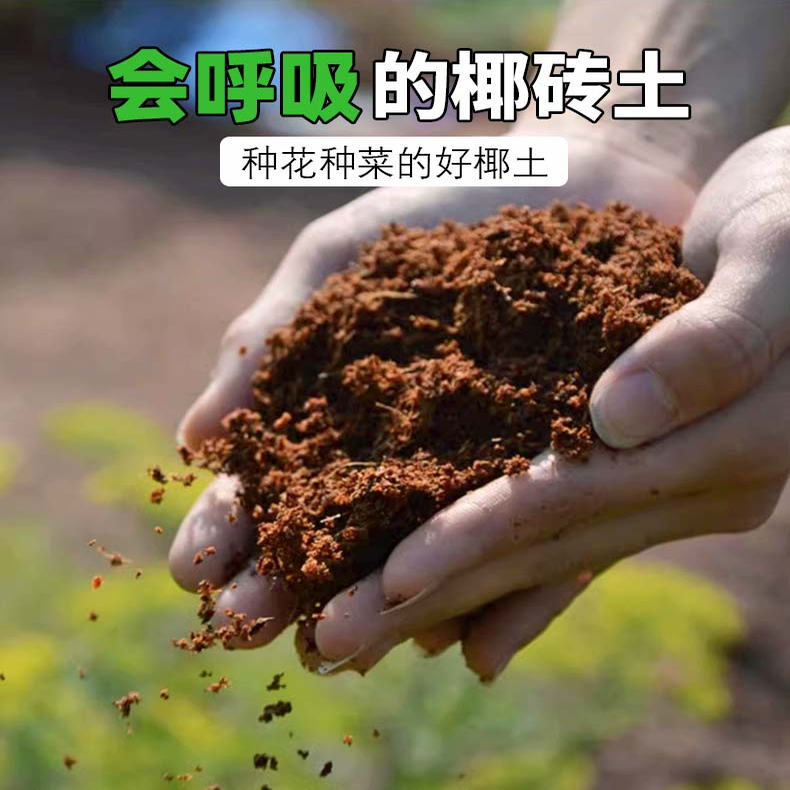 椰粉椰砖椰糠椰土兰花土营养土无土栽培宠物垫材种菜种花脱盐泥土 - 图2