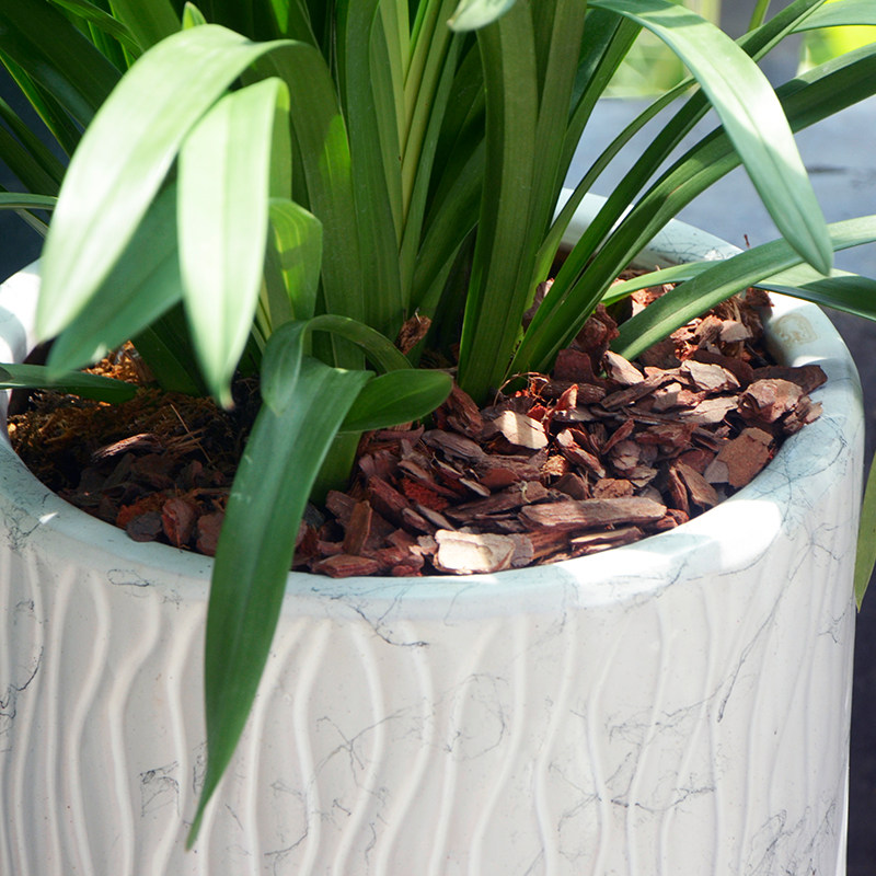 松树皮腐熟大块发酵松磷兰花栽培基质铁皮石斛专用植料兰科营养土,淘宝优惠券,粉丝福利购,淘宝优惠卷