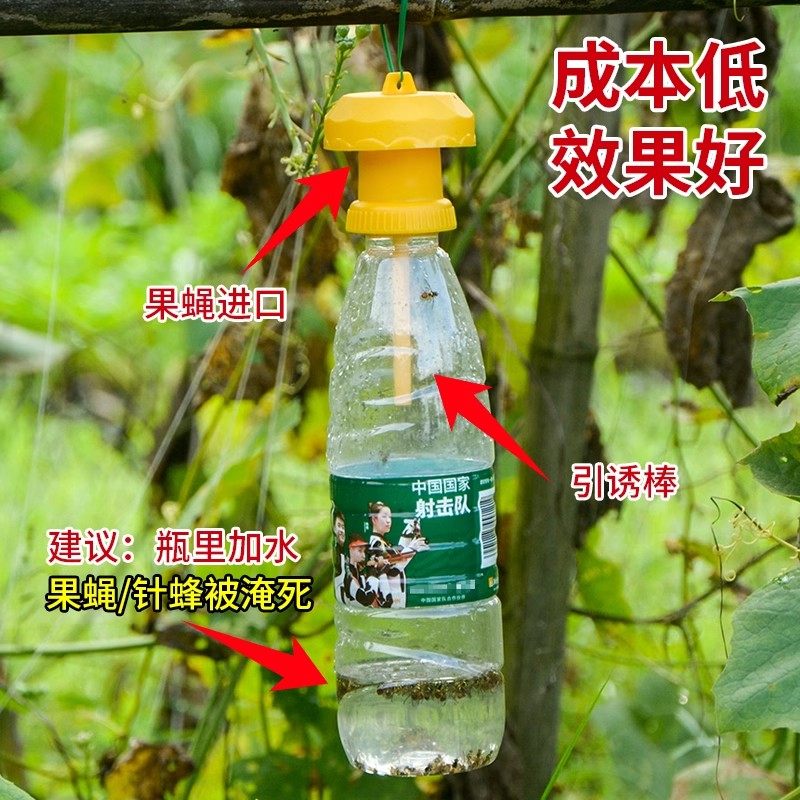 果蝇诱捕器果实蝇捕抓捉容器瓜果蔬菜花卉防虫诱虫性诱剂药水针蜂,淘宝优惠券,粉丝福利购,淘宝优惠卷