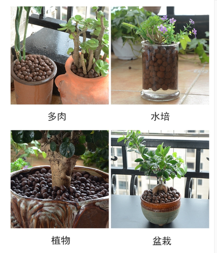种花陶粒蛭石陶粒营养土营养液肥料多肉植物基质育苗块园艺铺面垫 - 图3
