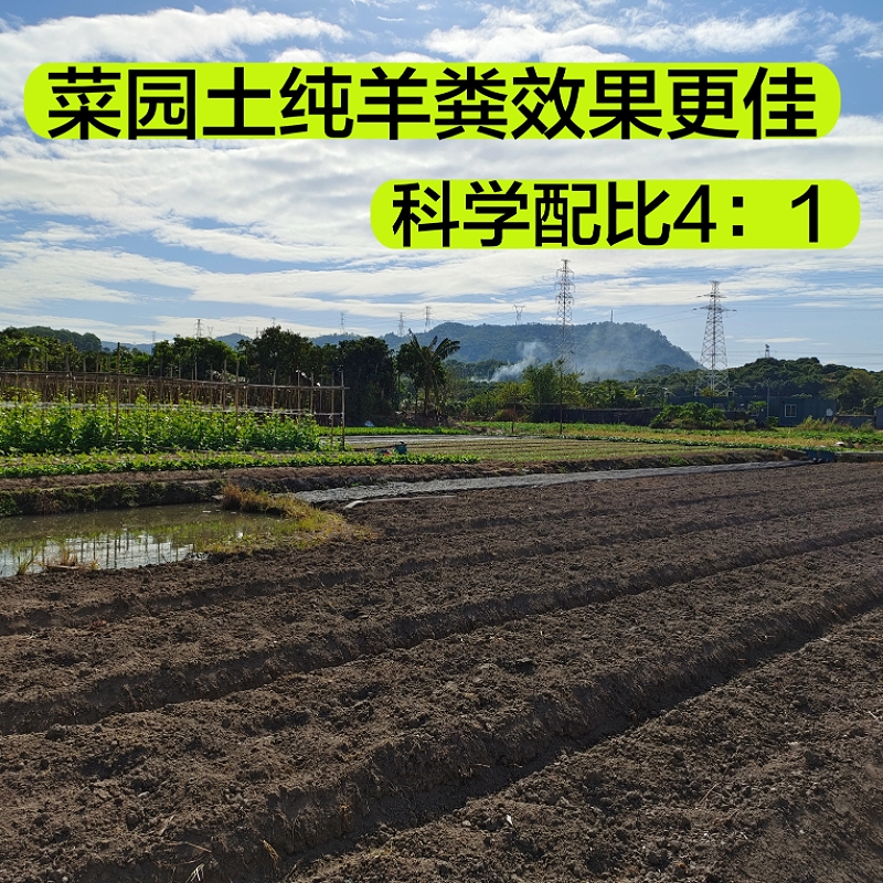 优质菜园土泥土黄土土壤天然田园土沙土家用种花种菜种植阳台盆栽 - 图2