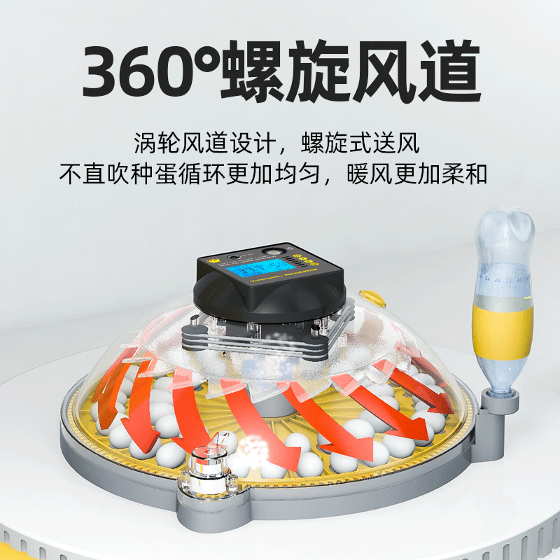 小型家用孵化机芦丁鸡孵化小飞碟孵蛋器柯尔鸭智能鹦鹉鸟蛋孵化箱 - 图0