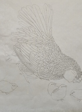 佚名子母白描打印稿勾线工笔画