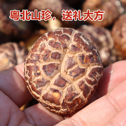 粤北韶关特产丹霞山非椴树香菇始兴南雄翁源河源清远冬菇500g包邮 - 图1