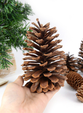 Natural Pine Nuts Fruit Fake Plant Pine Cone Flower Pineappl