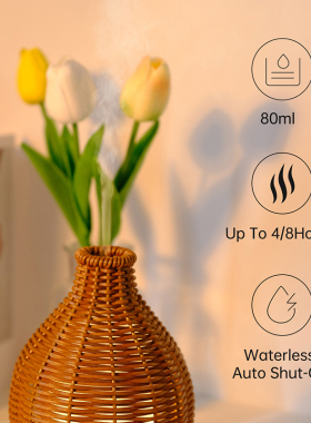 Essential Oil Diffuser Rattan Aroma Mist Humidifiers Aromath