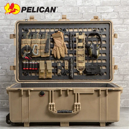 Американский Пеликан Пиликан 1510 1535 1560 Мп