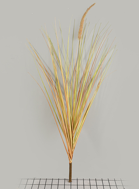 碧洛蒂斯仿真单支洋葱草狗尾草