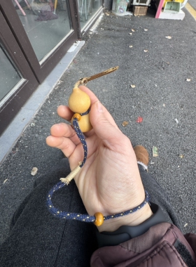 纯手工编织奶瓶八宝葫芦防丢绳腰绳手工腕绳