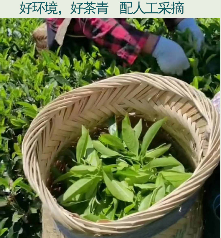 500克水仙茶漳平水仙口粮高山乌龙兰花香特级 纯手工试喝高端招待