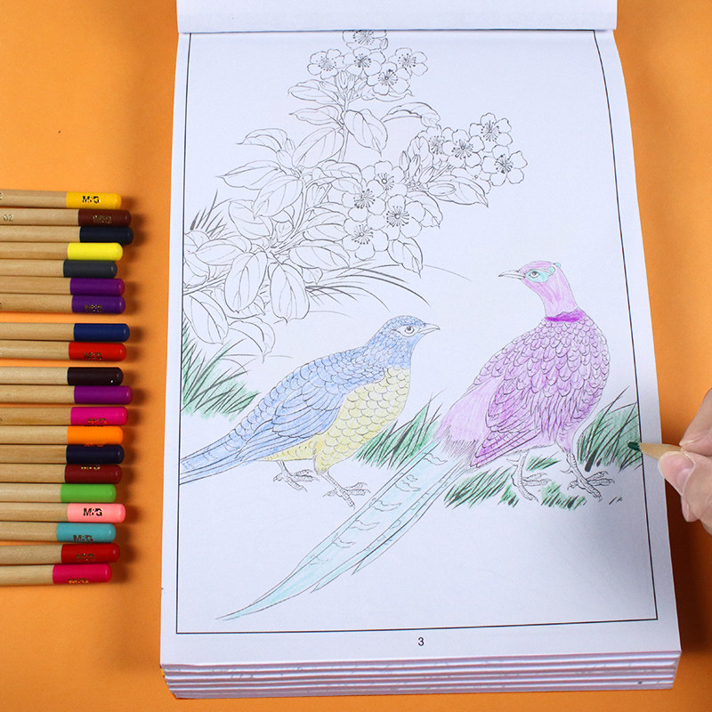 中国画白描入门描摹本国画工笔国风古风花卉人物套装底稿线稿描红基础书初学临摹水墨画册硬笔绘画练习教材程