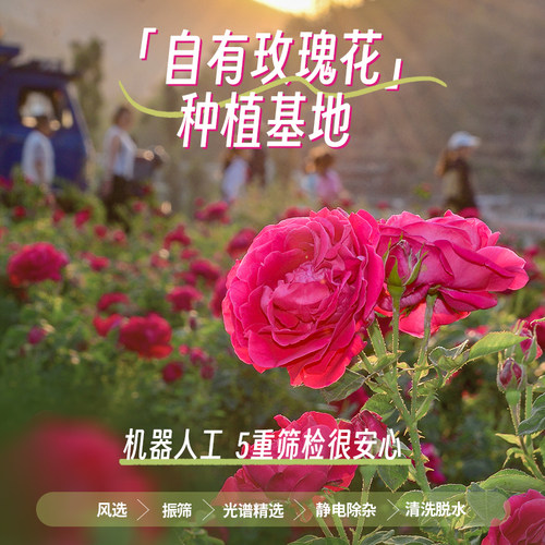 潘祥记鲜花饼官方旗舰店零食小吃饼干传统糕点心云南特产玫瑰花饼 - 图3