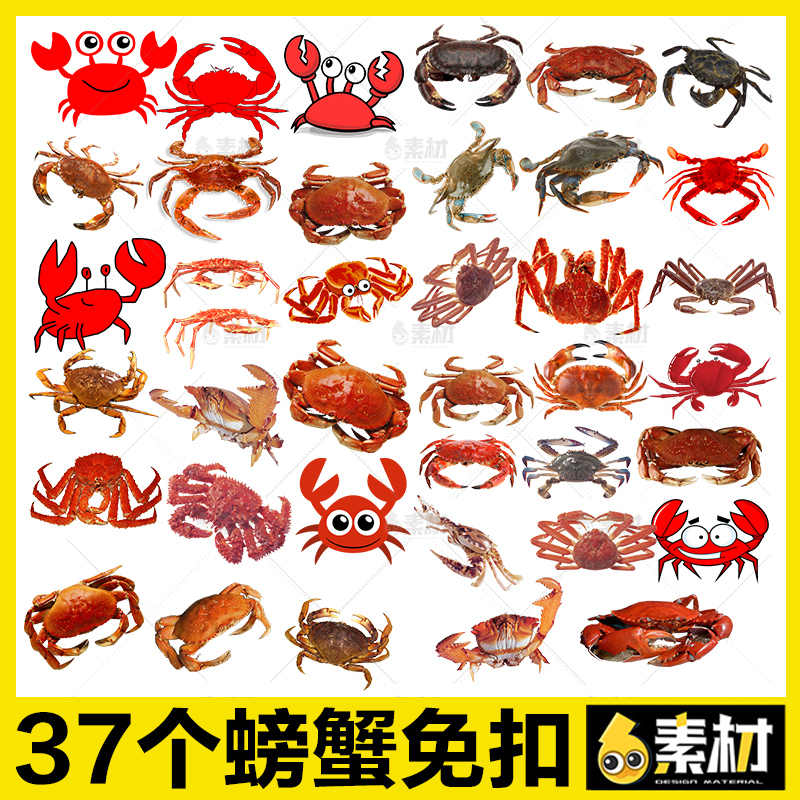 蟹png素材 新人首单立减十元 22年3月 淘宝海外