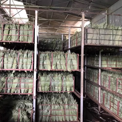 粽叶粽子叶5斤装五斤新鲜免邮包粽子的叶子干大号棕叶商用3斤 - 图2