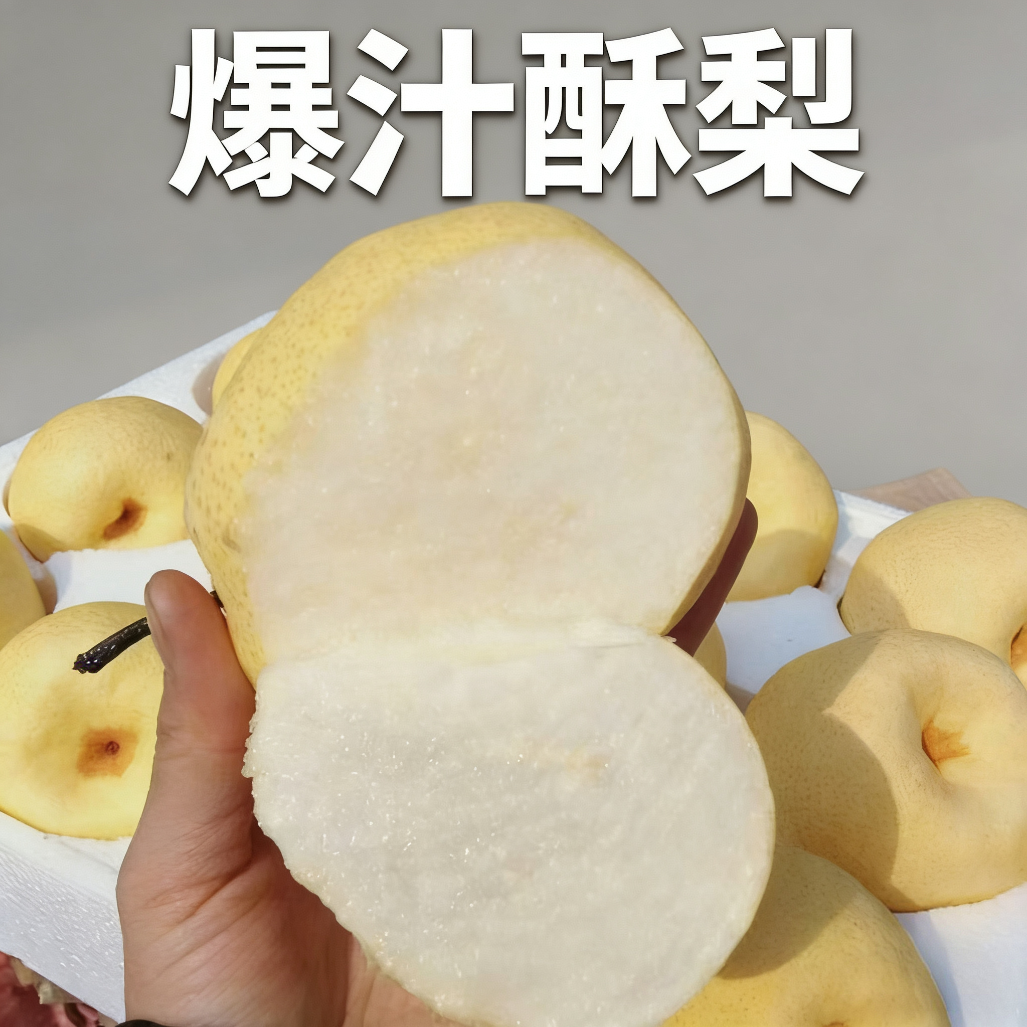 山西贡梨新鲜当季酥脆多汁皮薄高山冰糖蜜梨 5斤10斤整箱水果包邮,淘宝优惠券,粉丝福利购,淘宝优惠卷