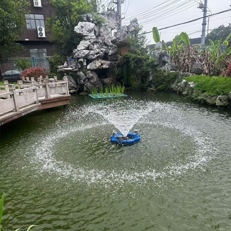 表面曝气机一体式曝气彩灯浮岛不锈钢喷泉式推流式太阳能河道增氧,淘宝优惠券,粉丝福利购,淘宝优惠卷