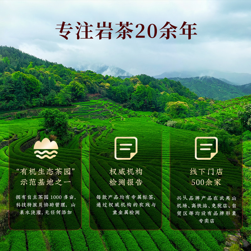 兴久岩茶武夷山桂皮香纯料肉桂茶叶高香型精选正宗乌龙茶送礼罐装,淘宝优惠券,粉丝福利购,淘宝优惠卷