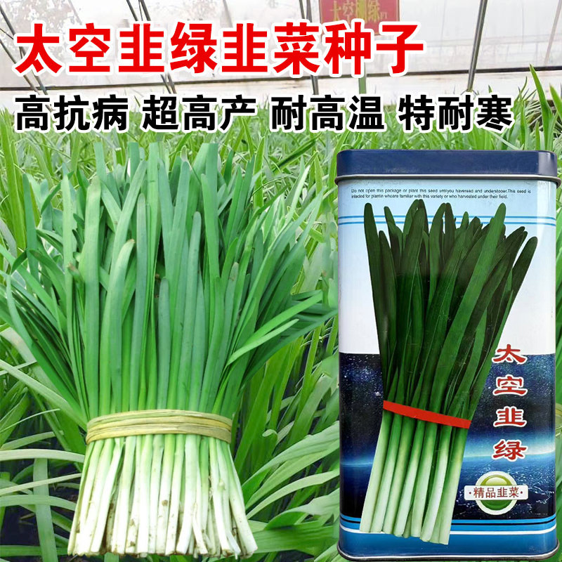 太空韭绿韭菜种子籽白根宽叶抗病高产耐热寒大田基地种植蔬菜,淘宝优惠券,粉丝福利购,淘宝优惠卷