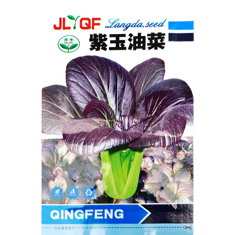 紫油菜种子大全春季蔬菜紫油菜种籽秋冬季四季鸡毛菜孑小白菜种籽 - 图3