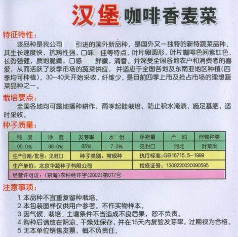 紫红油麦菜汉堡咖啡香麦菜种子高含花青素等生长迅速叶片长圆紫红 - 图1
