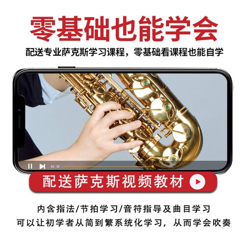 泰山中音萨克斯管乐器风TSAS-760考级初学儿童成人降E调专业演奏 - 图0