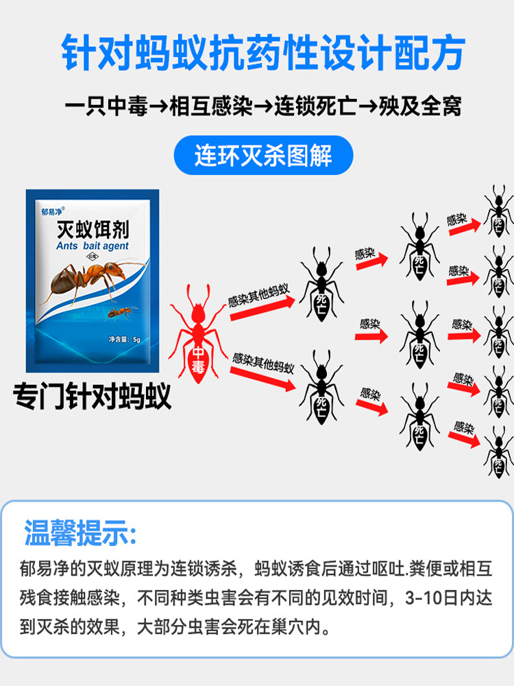 除灭蚂蚁药家用厨房全窝端灭蚁清神器杀蚂蚁饵剂灭黑红黄蚂蚁户外 - 图2