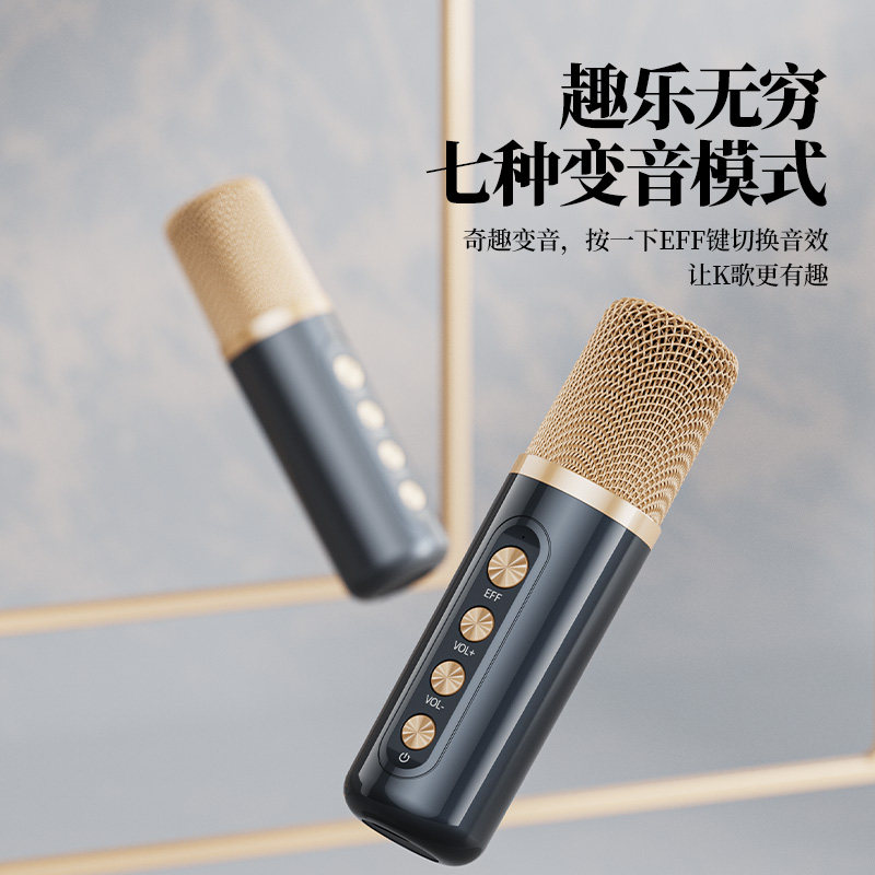 家庭ktv音响套装卡拉ok高端麦克风 铂典KTV/卡拉OK音箱