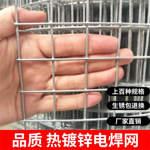 镀锌铁丝网围栏户外护栏铁网家用养殖围网养鸡钢丝网格小孔防护网 - 图0
