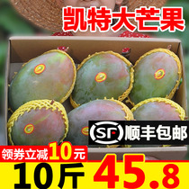 Climbing Branches Kate Mango 10 catty of fresh fruit When season the whole box is busy with green leather big mango extra-large spot