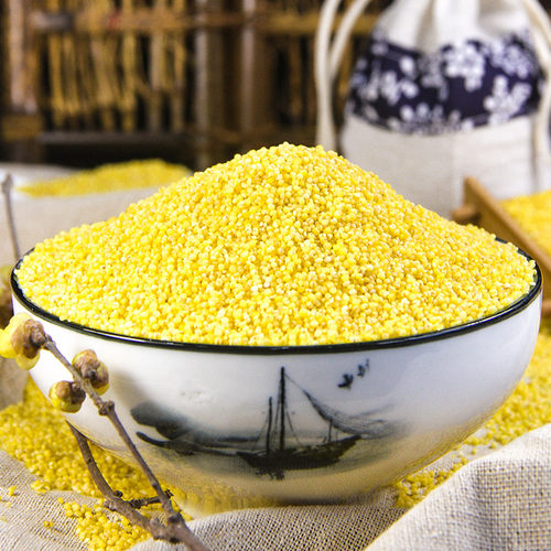 黄小米新米黄米宝宝粥米农家含硒粗粮小黄米五谷杂粮350g*3袋 - 图2