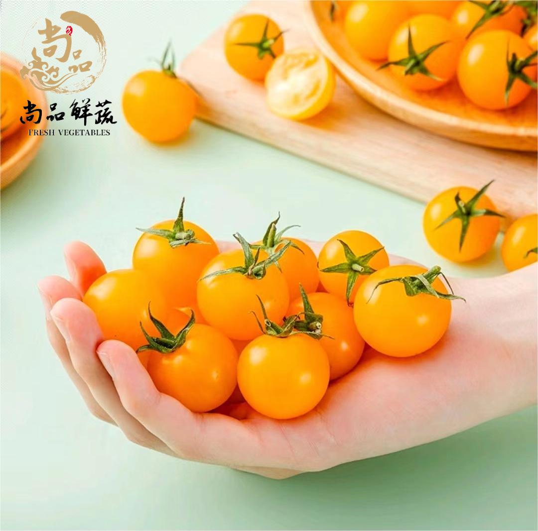 千禧小番茄黄色圣女果500g新鲜樱桃小番茄西红柿蔬菜沙拉孕妇零食 - 图0