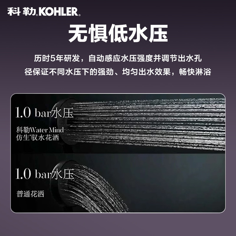 科勒 淋浴花洒喷头 手持花洒多功能莲蓬头软管 R33407T-CP - 图3