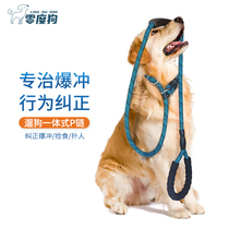 Dog P rope training professional large and small young dog walking dog anti-explosion punching rope pet gold wool Item circle P word chain