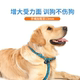 Training for professional large, medium, small and small dog walking explosion-proof
