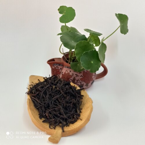 新品潮州凤凰单枞茶浓香型雪片乌龙茶一级茶叶凤凰茶500g袋装实惠 - 图0
